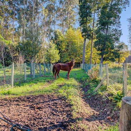 Casa Do Moinho Rural Campo E Praia , 9 Pessoas, Animais Benvindos 에스피뇨 외부 사진