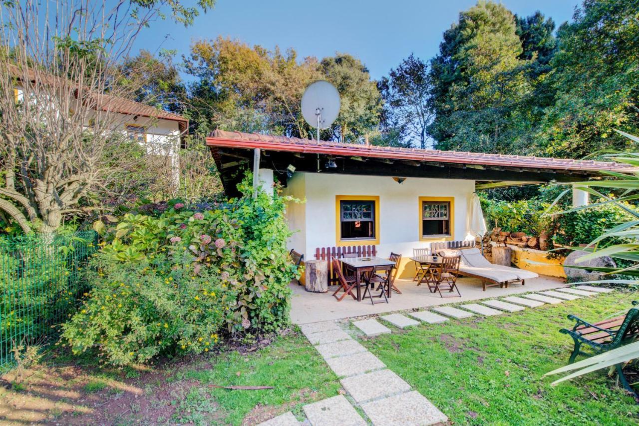 Casa Do Moinho Rural Campo E Praia , 9 Pessoas, Animais Benvindos 에스피뇨 외부 사진