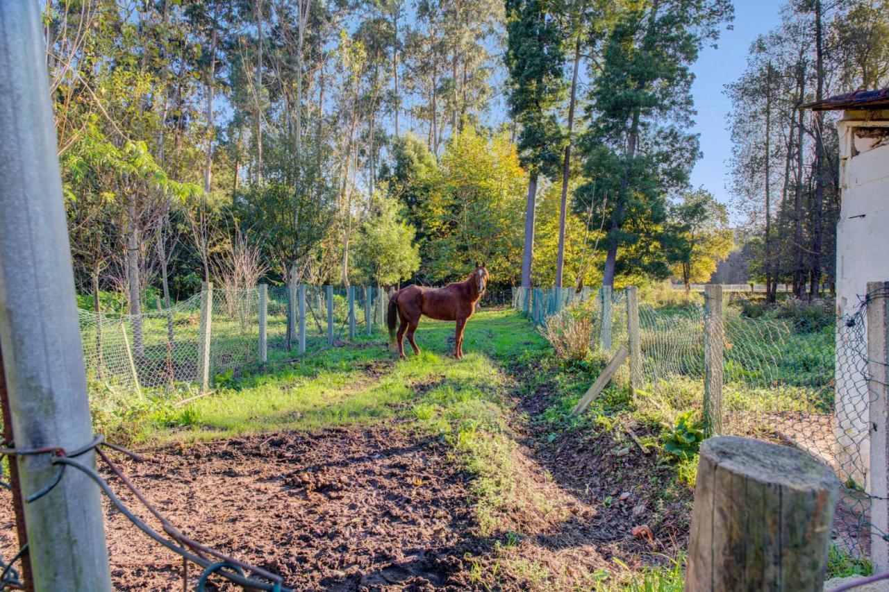 Casa Do Moinho Rural Campo E Praia , 9 Pessoas, Animais Benvindos 에스피뇨 외부 사진